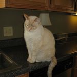 Profile Picture of Marilyn McManus (@marilyn.mcmanus.33) on Instagram