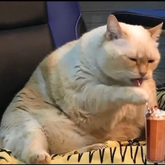 Profile Picture of Yiming Cui (@yimingcui) on Poshmark