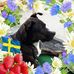 Profile Picture of Thomas Jansson (@thomas.jansson.165685) on Facebook