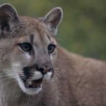 Profile Picture of Jefferyspurgeon0813 (@jeffferyspurgeon) on Instagram