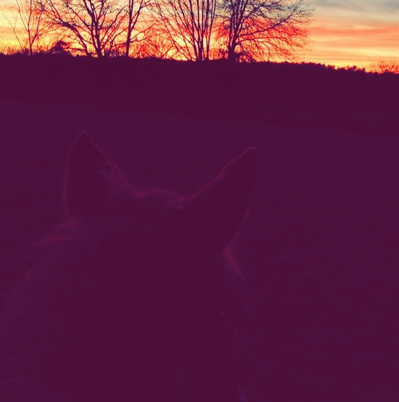 Profile Picture of Clinton Causey (@causeyclinton) on Poshmark