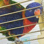 Profile Picture of pedro.lori (@pedro.lori) on Instagram