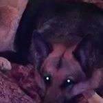 Profile Picture of Steven Potvin (@potvin505) on Instagram