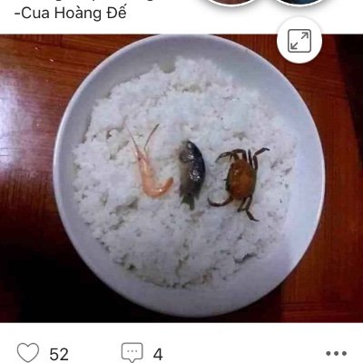 Profile Picture of Minh Lam (@Minhlam71116682) on Twitter