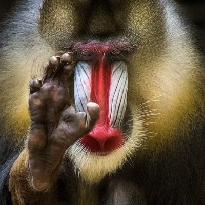 Profile Picture of Jeffrey Gage (@JeffreyGage11) on Twitter