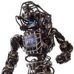 Profile Picture of David Carelli (@david.carelli) on Instagram