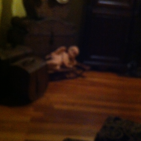 Profile Picture of Terri Strawn (@tstrawn) on Poshmark