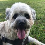 Profile Picture of Julie Brillo (@juliebrillo) on Instagram