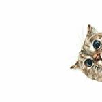 Profile Picture of Isabelle B (@isabellebarberis) on Instagram