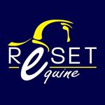 Nancy Ellison-Murray - Instagram Profile Picture of Nancy Ellison-Murray (@resetequine) on Instagram