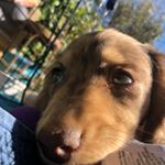 Profile Picture of gustygodfreyweber (@gustygodfreyweber) on Instagram