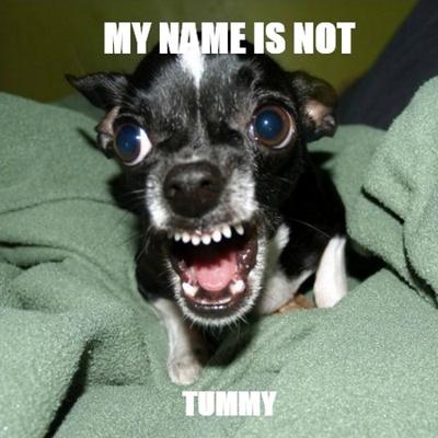 Jeff Poirier - Twitter Profile Picture of Jeff Poirier (@merkiloveu) on Twitter