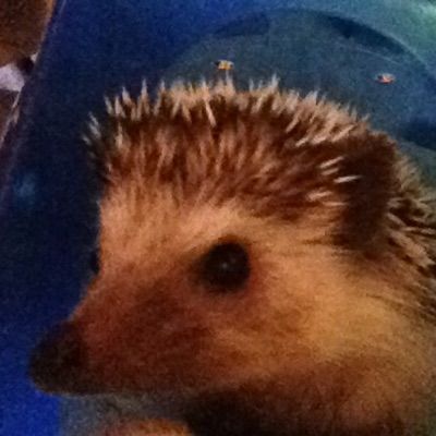 Profile Picture of Gregory Patterson (@gregorypatterson1) on Tiktok