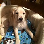 Profile Picture of Scott Garfield (@scottgarfield42) on Instagram