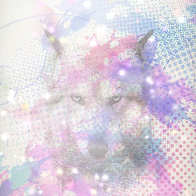 Profile Picture of Timmy Roberts (@TimmyBunnyTB) on Twitter