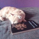 Profile Picture of Aaron Dorland (@futuretomb) on Instagram