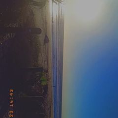 Profile Picture of Gonzalo Cariño (@gonzalo.cario) on Tiktok