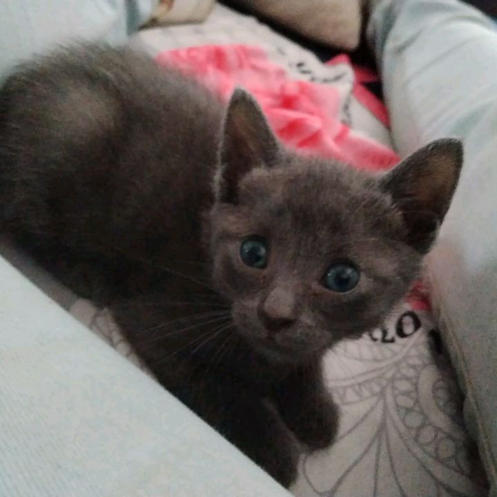 Marc Comas - Tiktok Profile Picture of Marc Comas (@marc.comas) on Tiktok