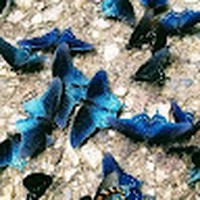 Profile Picture of Kim Nagle (@kim-nagle-12) on Quora