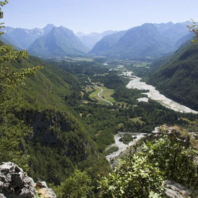 Profile Picture of Michael Moritz (@Icymaniac) on Twitter