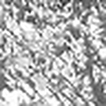 Profile Picture of Watson Pierre Charles (@watson111) on Flickr