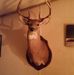 Profile Picture of Mark Hurlburt (@mark.hurlburt.77) on Facebook