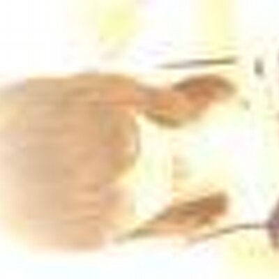 Profile Picture of Amanda Whitby (@xMandy12x) on Twitter