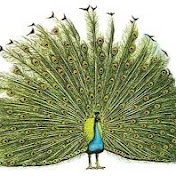 Profile Picture of Gopalan Srinivasan (@gopalansrinivasan257) on Youtube