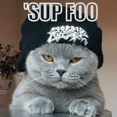 Profile Picture of Jacob Honer (@JacobWHoner) on Twitter