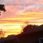 Profile Picture of Michael Acerbi (@michaelacerbi) on Instagram