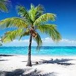 Profile Picture of Anthony Ferretti (@tonyferr71) on Instagram