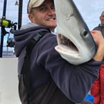 Profile Picture of Paul Starling (@pjstarling3) on Instagram