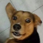 Profile Picture of agustin (@gabriel_pallaress) on Instagram