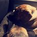 Profile Picture of Nevaeh Kochanski (@Nevaehkochanski) on Pinterest