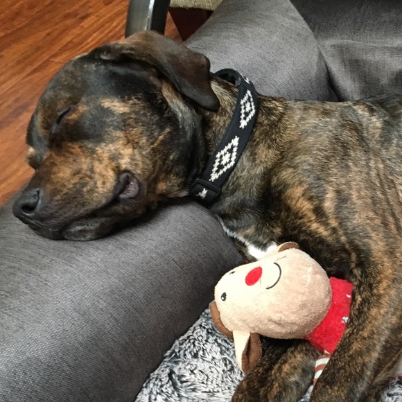 Profile Picture of Ally Koutecky (@brokenarrow125) on Poshmark