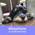 Profile Picture of Terry Greensill (@terry.greensill) on Facebook