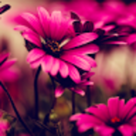 Profile Picture of Ramya Subramanian (@email2ramyas) on Poshmark