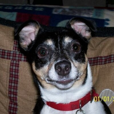 Profile Picture of Martha Heath (@@teddy1268) on Twitter