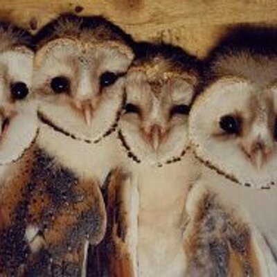 Profile Picture of Stella John (@StellaJohn5) on Twitter