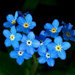 Profile Picture of Sybil Jones (@syb876) on Instagram