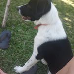 Profile Picture of Patricia Debona (@patri_debona) on Instagram