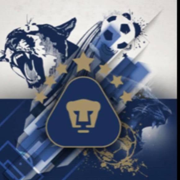 Profile Picture of Severo Pinelo (@pineloservices) on Poshmark