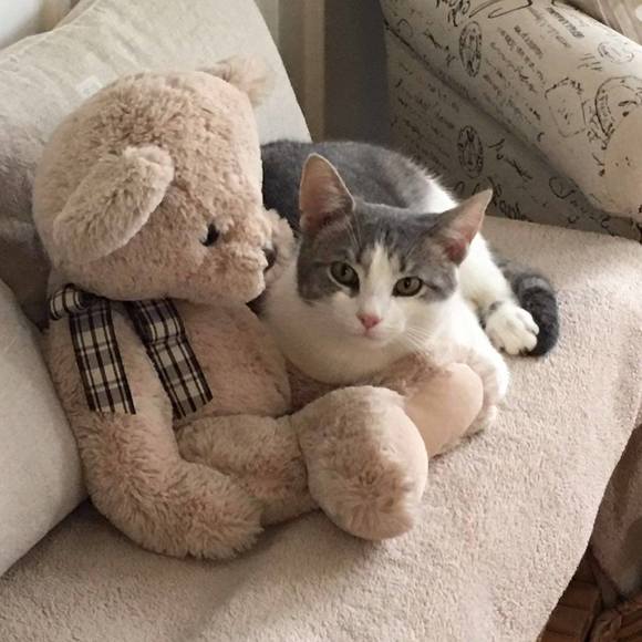 Profile Picture of Ulli Salfen (@ullisalfen) on Poshmark