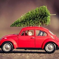 Profile Picture of Kristen Gessner (@kristengessner) on Tiktok