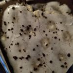 Profile Picture of Carry Howard (@howard.carry) on Instagram