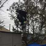Profile Picture of Trampoline 2005 (@jacobalumbaugh1538) on Instagram