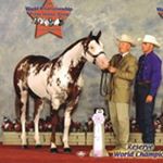 Profile Picture of Gregory Abbott (@mrhalterman911) on Instagram