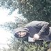 Profile Picture of Jose Sorto (@josesortogoza0934gmil) on Pinterest