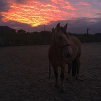 Profile Picture of Lucy Milner (@lucy-milner-1) on Quora