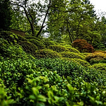 Profile Picture of cody baldwin (@codywyattbaldwin) on Flickr